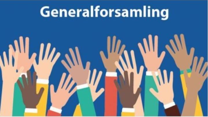 Generalforsamling